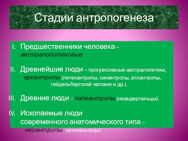 Стадии антропогенеза Предшественники человека – австралопитековые Древнейшие люди – прогрессивные австралопитеки, архантропы