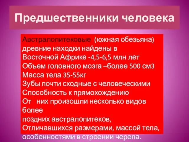 Предшественники человека Австралопитековые (южная обезьяна) древние находки найдены в Восточной Африке -4,5-6,5