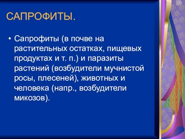 САПРОФИТЫ. Сапрофиты (в почве на растительных остатках, пищевых продуктах и т. п.)