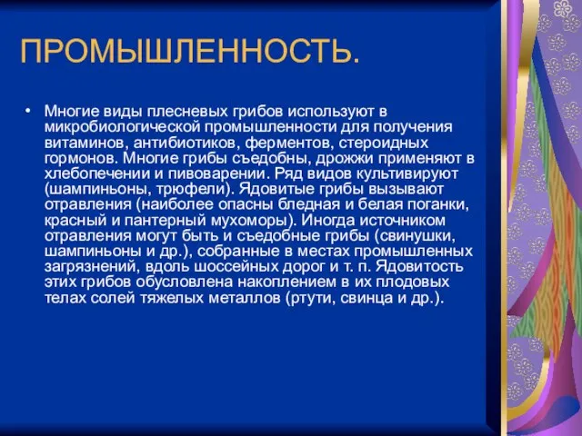 ПРОМЫШЛЕННОСТЬ. Многие виды плесневых грибов используют в микробиологической промышленности для получения витаминов,