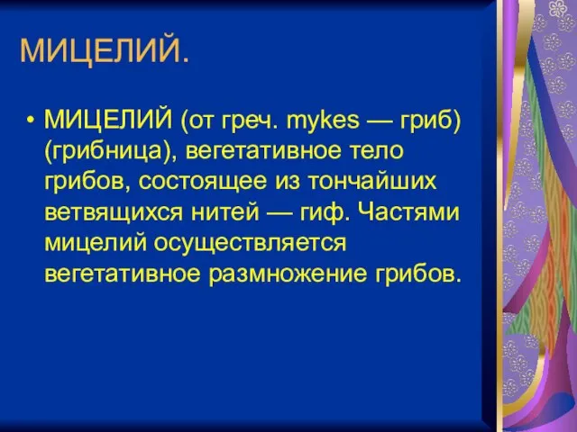 МИЦЕЛИЙ. МИЦЕЛИЙ (от греч. mykes — гриб) (грибница), вегетативное тело грибов, состоящее