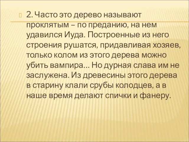 2. Часто это дерево называют проклятым – по преданию, на нем удавился