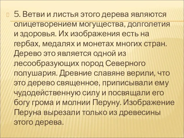 5. Ветви и листья этого дерева являются олицетворением могущества, долголетия и здоровья.