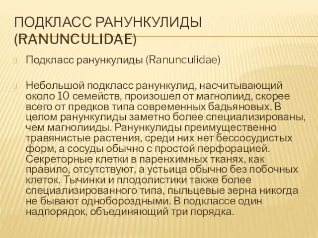 Подкласс ранункулиды (Ranunculidae) Подкласс ранункулиды (Ranunculidae) Небольшой подкласс ранункулид, насчитывающий около 10