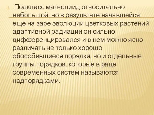 Подкласс магнолиид относительно небольшой, но в результате начавшейся еще на заре эволюции