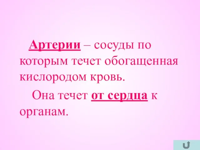 Артерии – сосуды по которым течет обогащенная кислородом кровь. Она течет от сердца к органам.