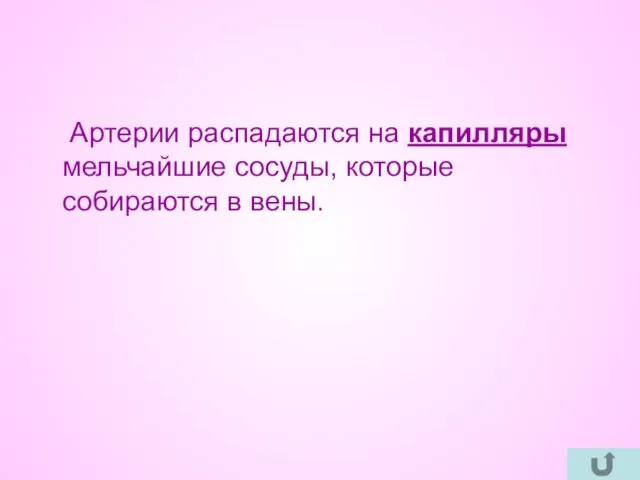 Артерии распадаются на капилляры мельчайшие сосуды, которые собираются в вены.