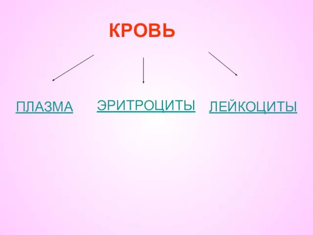 ЭРИТРОЦИТЫ КРОВЬ ПЛАЗМА ЛЕЙКОЦИТЫ