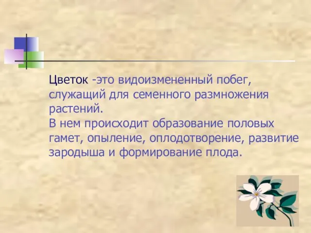 Цветок -это видоизмененный побег, служащий для семенного размножения растений. В нем происходит