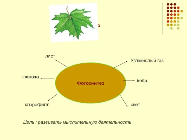Фотосинтез Фотосинтез глюкоза лист Углекислый газ вода свет хлорофилл Цель : развивать мыслительную деятельность