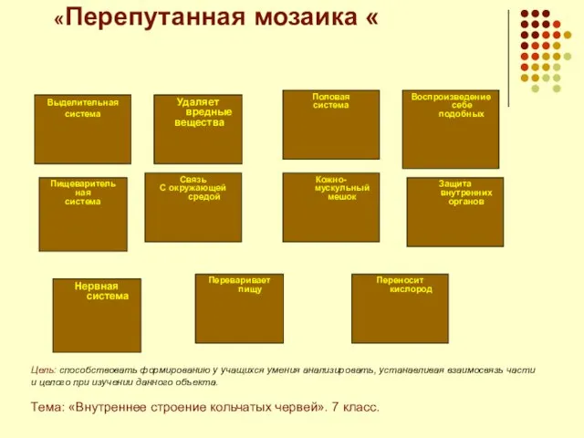 «Перепутанная мозаика « Выделительная система Нервная система Пищеваритель ная система Удаляет вредные