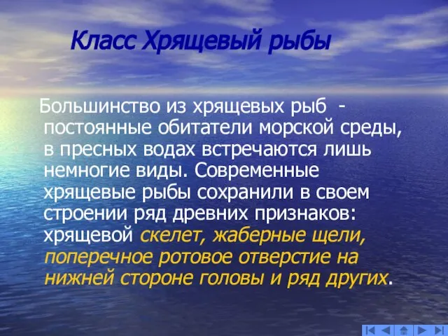 Класс Хрящевый рыбы Большинство из хрящевых рыб - постоянные обитатели морской среды,