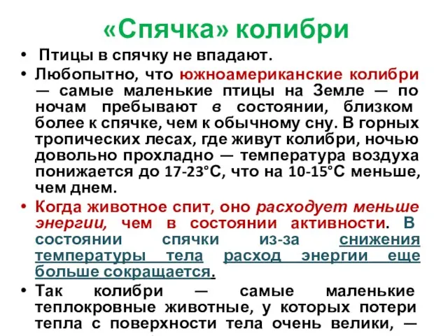 «Спячка» колибри Птицы в спячку не впадают. Любопытно, что южноамериканские колибри —