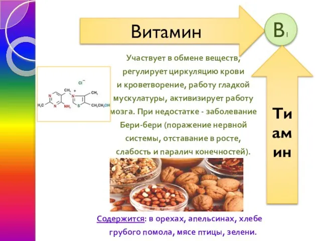 Участвует в обмене веществ, регулирует циркуляцию крови и кроветворение, работу гладкой мускулатуры,