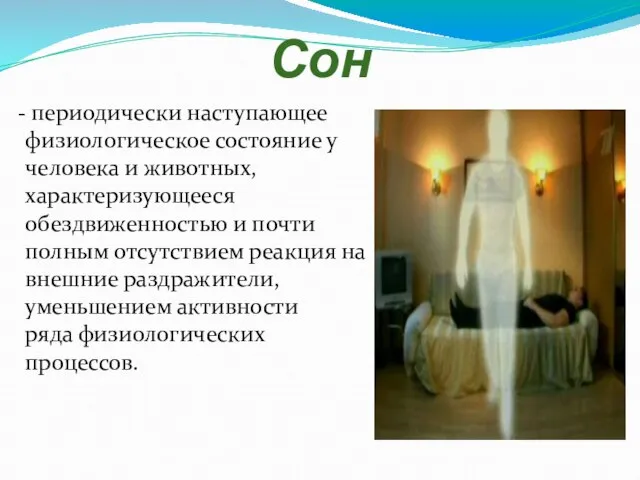 Сон - периодически наступающее физиологическое состояние у человека и животных, характеризующееся обездвиженностью