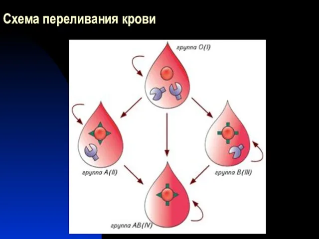 Схема переливания крови