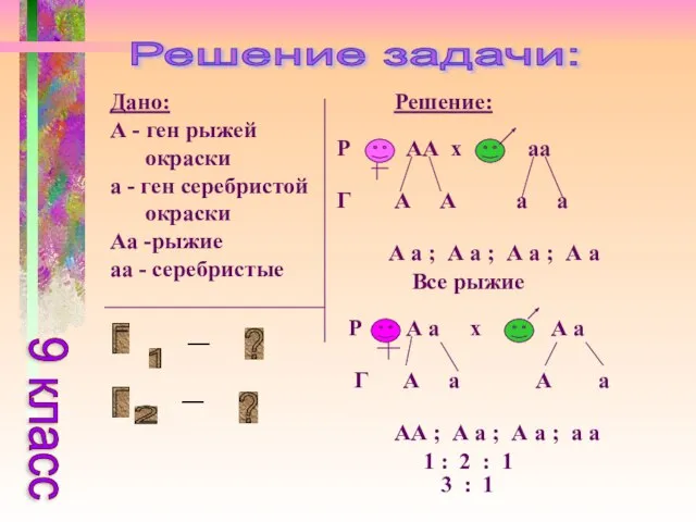 Решение задачи: Дано: А - ген рыжей окраски а - ген серебристой