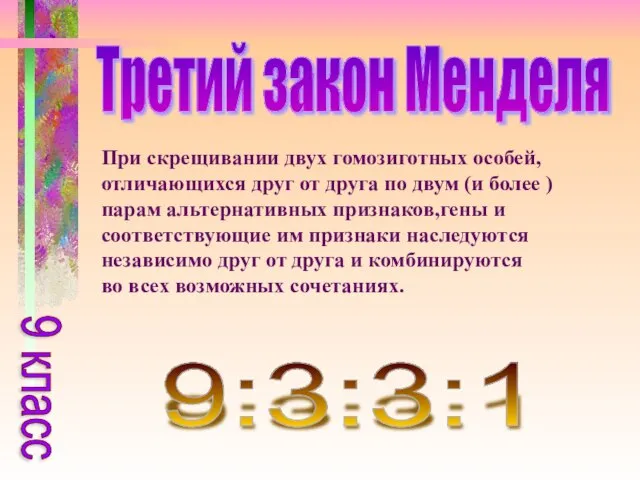 Третий закон Менделя При скрещивании двух гомозиготных особей, отличающихся друг от друга