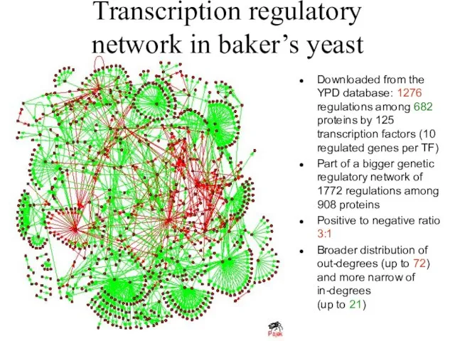 Transcription regulatory network in baker’s yeast Downloaded from the YPD database: 1276