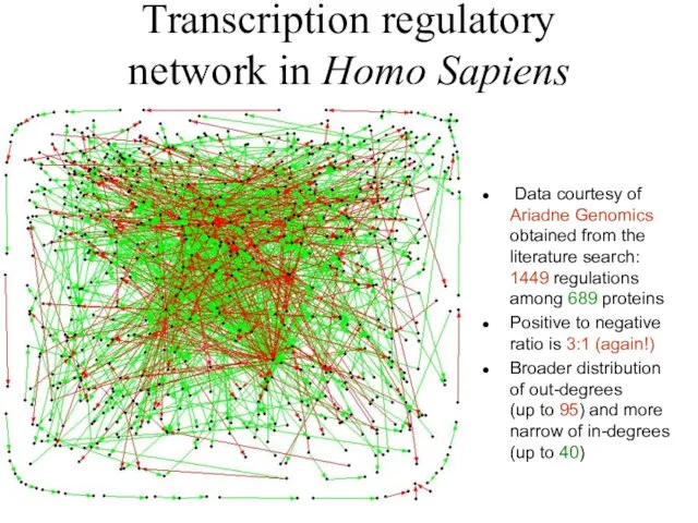 Transcription regulatory network in Homo Sapiens Data courtesy of Ariadne Genomics obtained
