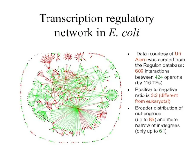 Transcription regulatory network in E. coli Data (courtesy of Uri Alon) was