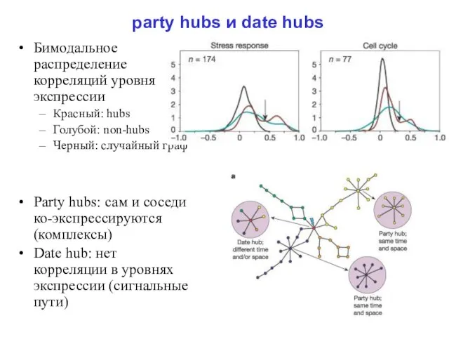 party hubs и date hubs Бимодальное распределение корреляций уровня экспрессии Красный: hubs