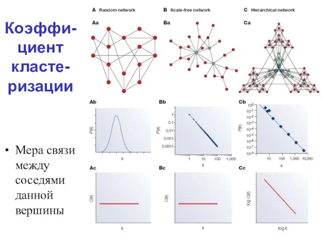 Коэффи-циент класте-ризации Мера связи между соседями данной вершины