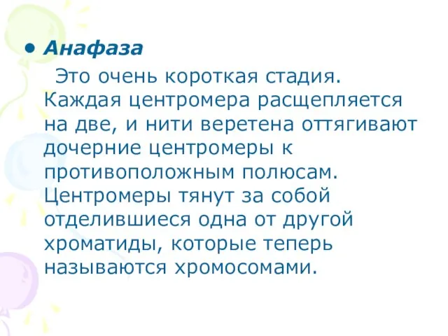 Анафаза Это очень короткая стадия. Каждая центромера расщепляется на две, и нити