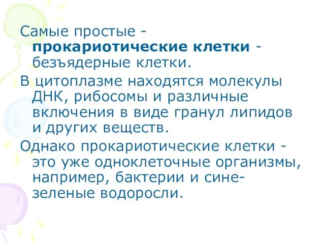 Самые простые - прокариотические клетки - безъядерные клетки. В цитоплазме находятся молекулы