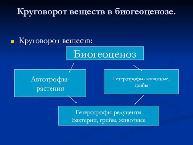 Круговорот веществ в биогеоценозе. Круговорот веществ: Автотрофы- растения Биогеоценоз Гетеротрофы- животные, грибы Гетеротрофы-редуценты Бактерии, грибы, животные