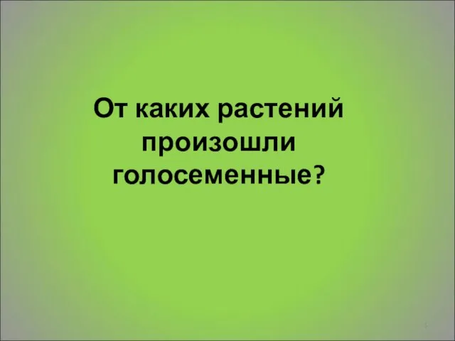 От каких растений произошли голосеменные?