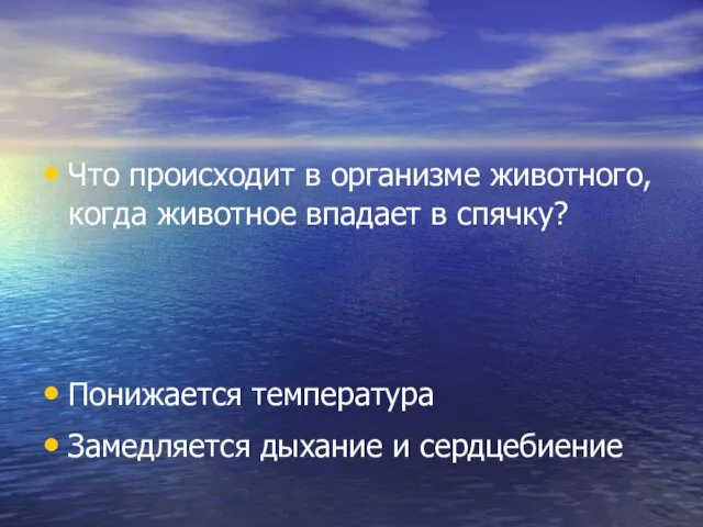 Что происходит в организме животного, когда животное впадает в спячку? Понижается температура Замедляется дыхание и сердцебиение