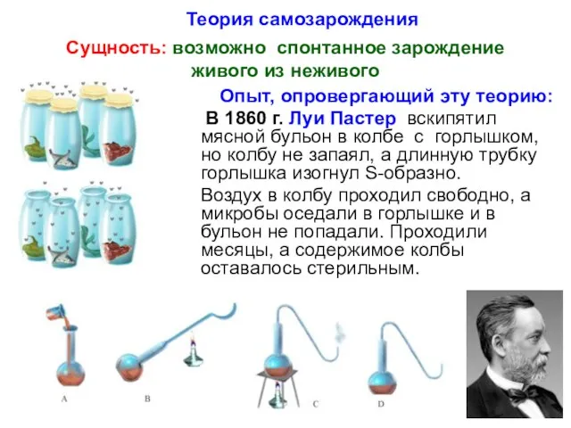 Теория самозарождения Сущность: возможно спонтанное зарождение живого из неживого Опыт, опровергающий эту