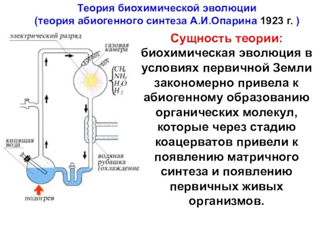 Теория биохимической эволюции (теория абиогенного синтеза А.И.Опарина 1923 г. ) Сущность теории: