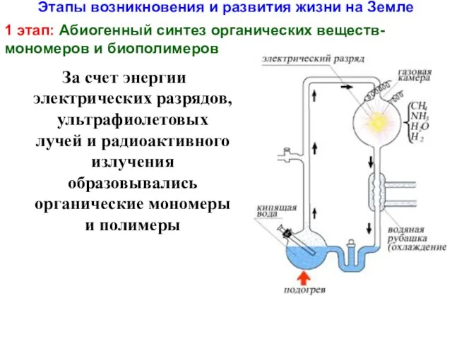 Этапы возникновения и развития жизни на Земле 1 этап: Абиогенный синтез органических