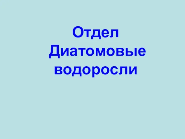 Отдел Диатомовые водоросли