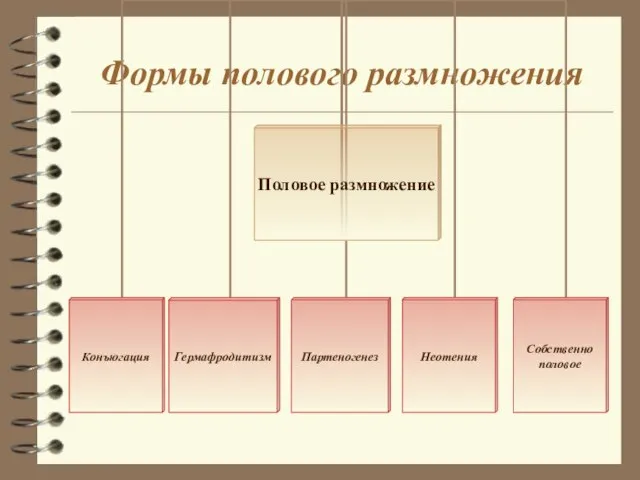 Формы полового размножения