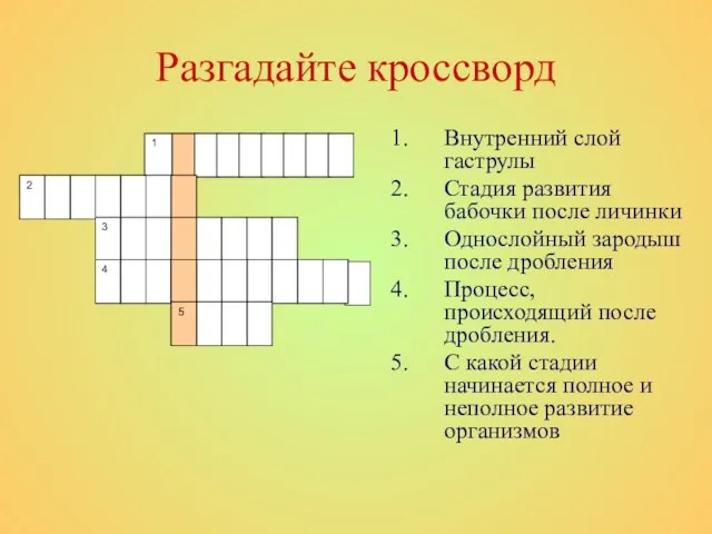 Разгадайте кроссворд Внутренний слой гаструлы Стадия развития бабочки после личинки Однослойный зародыш