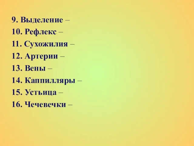 9. Выделение – 10. Рефлекс – 11. Сухожилия – 12. Артерии –