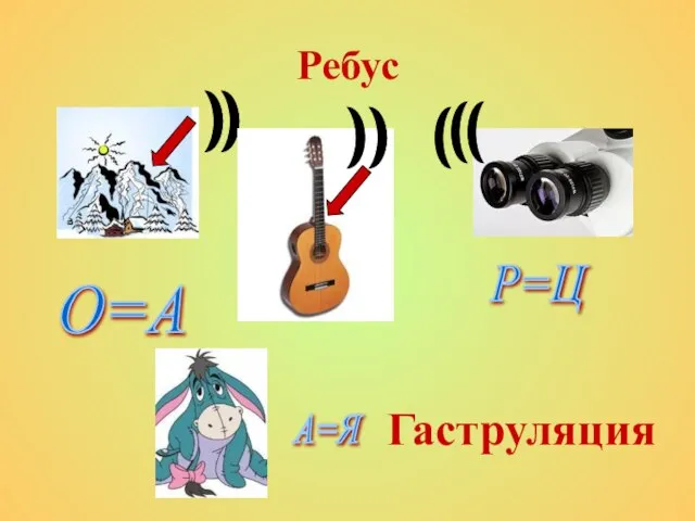 Ребус Гаструляция