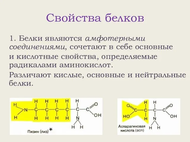 Свойства белков 1. Белки являются амфотерными соединениями, сочетают в себе основные и