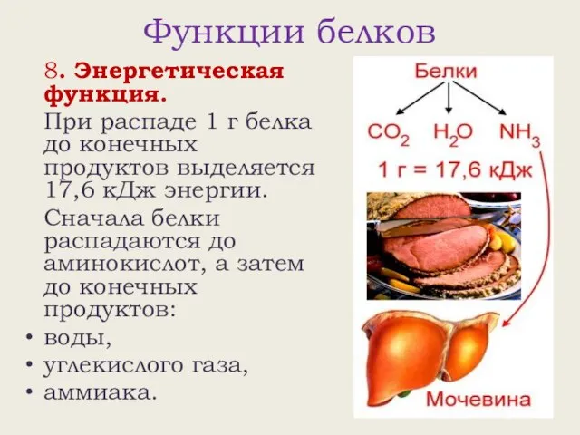 Функции белков 8. Энергетическая функция. При распаде 1 г белка до конечных