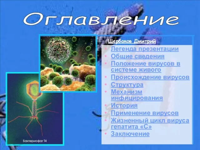 Легенда презентации Общие сведения Положение вирусов в системе живого Происхождение вирусов Структура