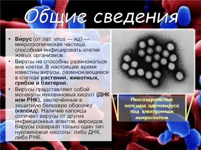 Ви́рус (от лат. virus — яд) — микроскопическая частица, способная инфицировать клетки