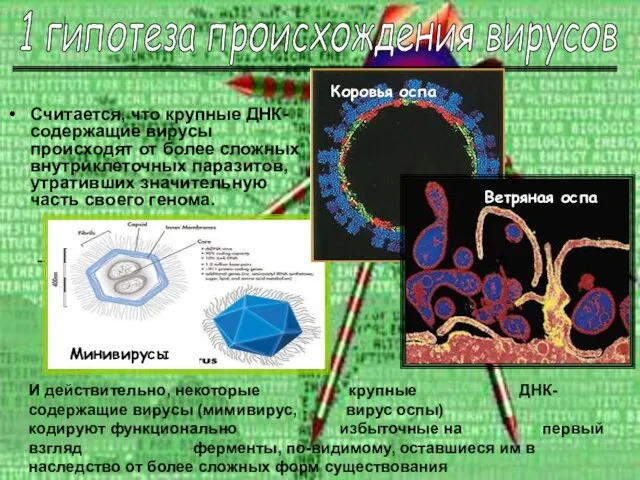 Считается, что крупные ДНК-содержащие вирусы происходят от более сложных внутриклеточных паразитов, утративших