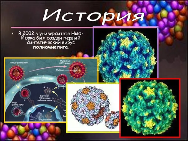 В 2002 в университете Нью-Йорка был создан первый синтетический вирус полиомиелита. История