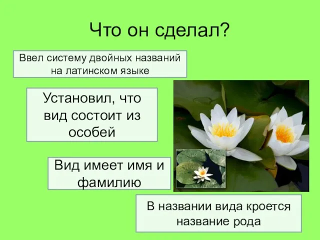 Что он сделал? Ввел систему двойных названий на латинском языке Установил, что