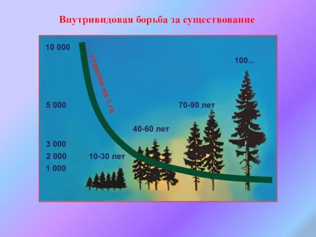 Внутривидовая борьба за существование