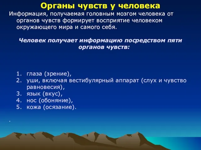 Органы чувств у человека Информация, получаемая головным мозгом человека от органов чувств