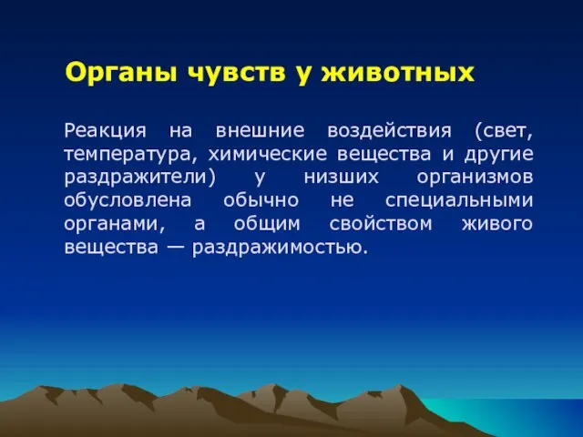 Органы чувств у животных Реакция на внешние воздействия (свет, температура, химические вещества